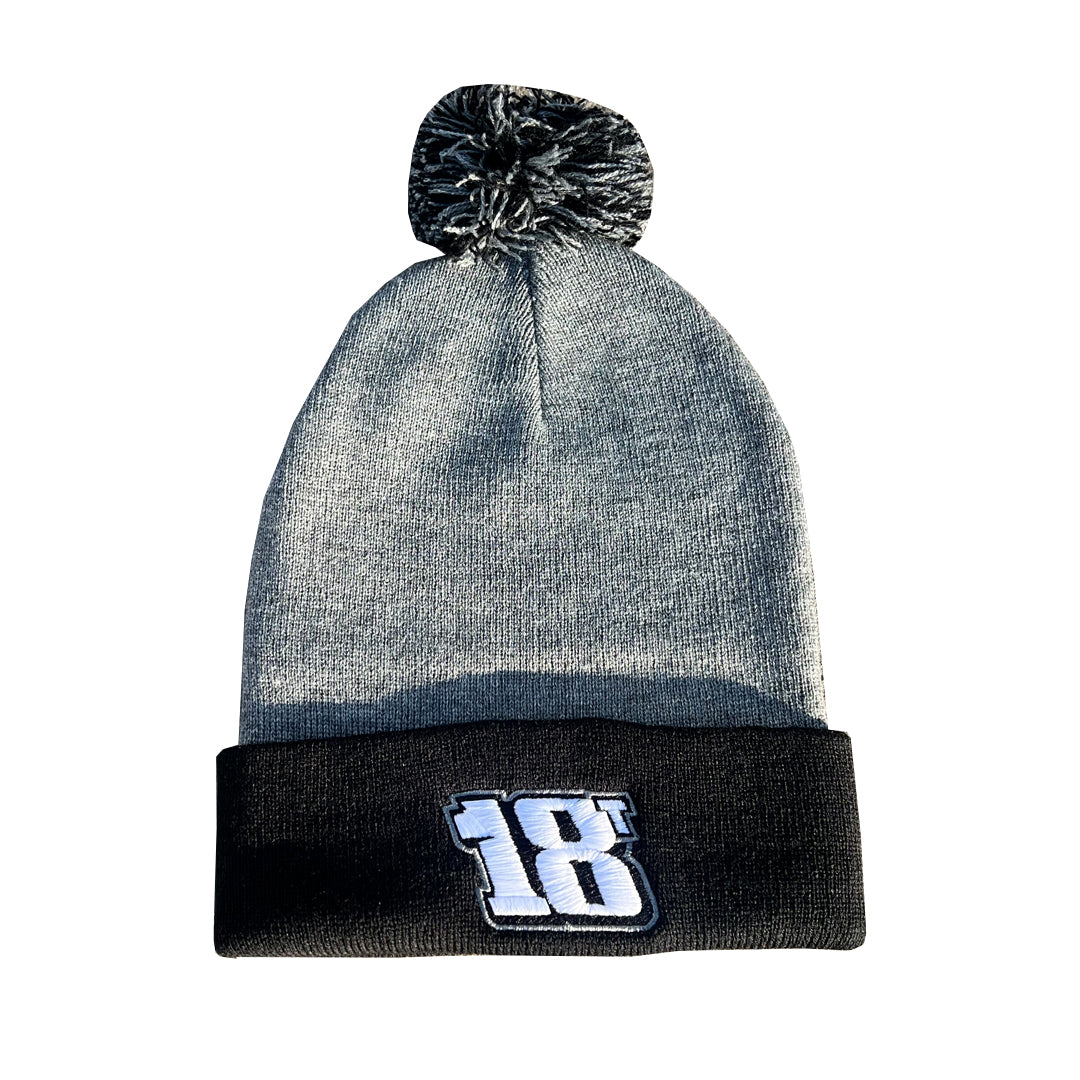 18T Beanie image 0