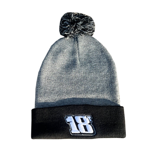 18T Beanie image 0