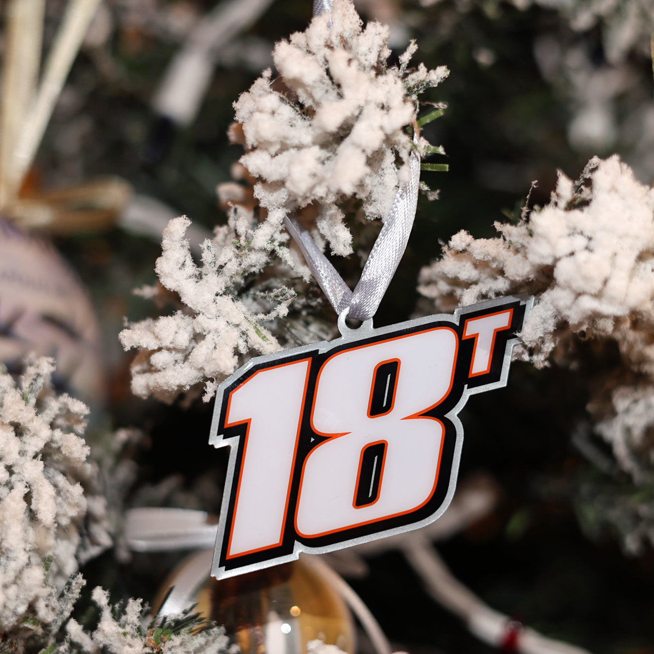 18T Ornaments image 0